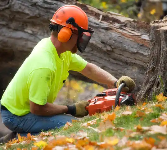 tree services Truesdale